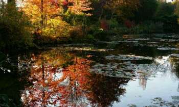 Puzzle 4722 - Les jardins de Giverny