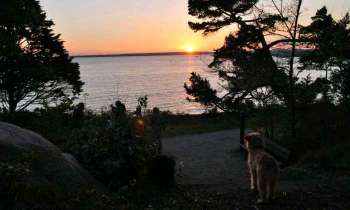Puzzle 4616 - Coucher de soleil