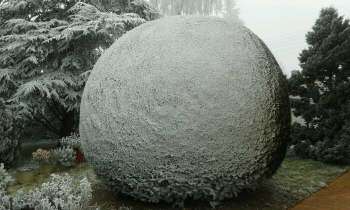 Puzzle 4289 - Boule de givre