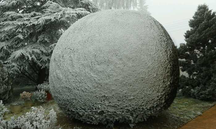 Puzzle Boule de givre