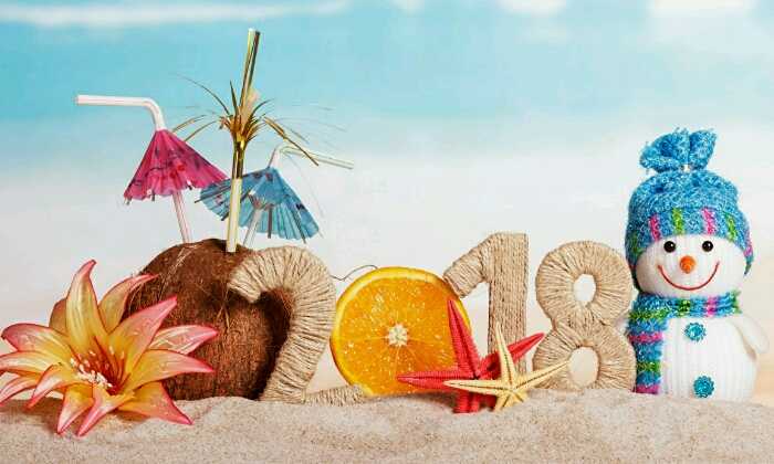 Puzzle Bonne année 2018
