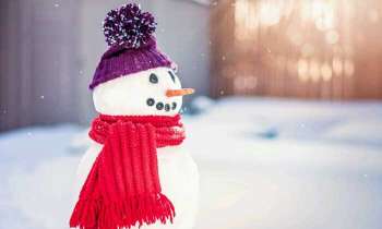 Puzzle 4695 - Bonhomme de neige bien couvert