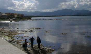 Puzzle 4715 - Paysage en Sardaigne