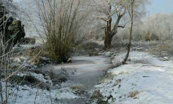 Puzzle 4382 - Mont Bernenchon sous la neige