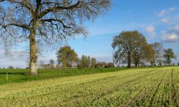 Puzzle 7855 - En pleine campagne
