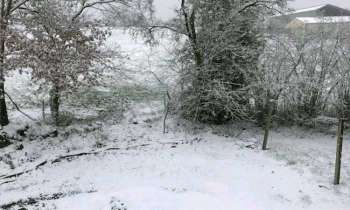 Puzzle 5120 - Vue sous la neige