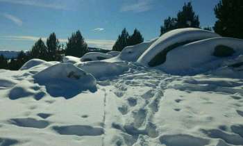 Puzzle 4436 - Traces de pas dans la neige