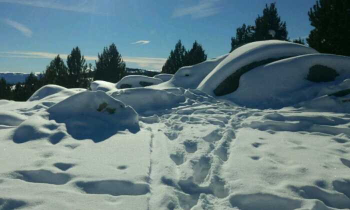 Puzzle Traces de pas dans la neige