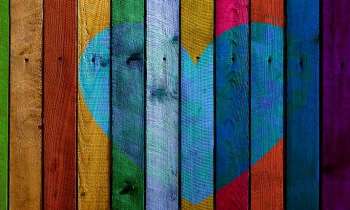 Puzzle 5277 - Planches multicolores