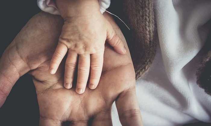 Puzzle les mains