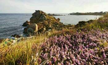 Puzzle 4905 - Côte de Plougasnou