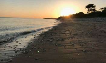 Puzzle 4492 - Coucher de soleil