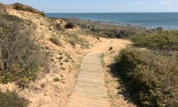 Puzzle 4831 - Chemin en bord de mer