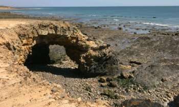 Puzzle 11024 - Falaise Bretonne