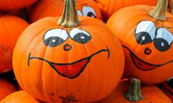 Puzzle 4643 - Gentilles citrouilles