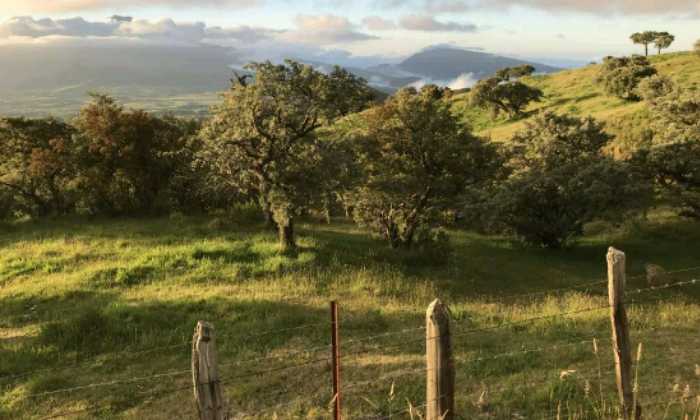 Puzzle Le sud-est de la Réunion