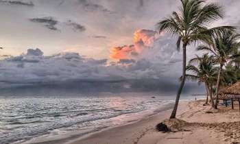 Puzzle 4777 - Plage et palmiers