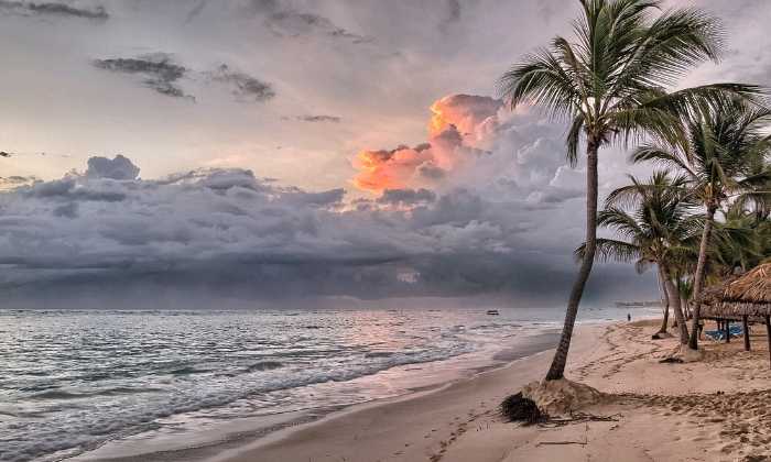 Puzzle Plage et palmiers