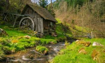 Puzzle 4805 - Paysage de rêve