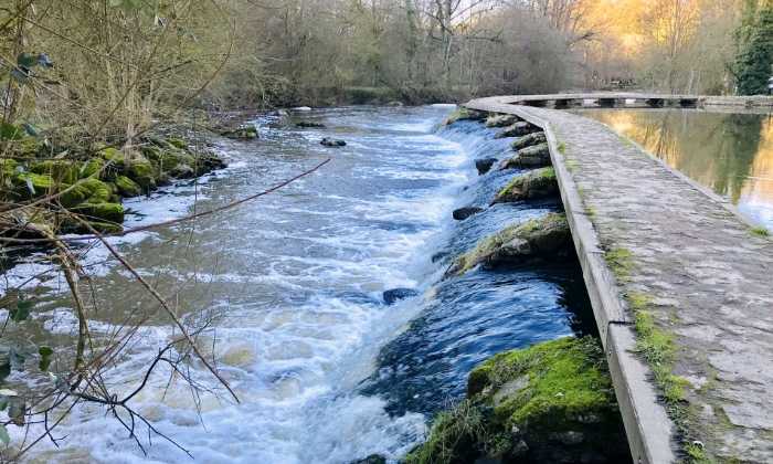 Puzzle Traversée de la rivière