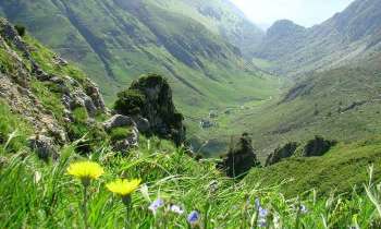 Puzzle 4978 - Paysage de montagne