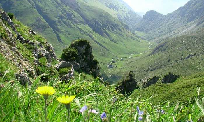 Puzzle Paysage de montagne