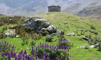 Puzzle 7839 - Dans les Pyrénées