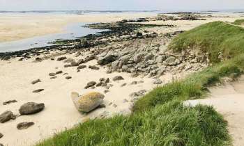 Puzzle 4863 - Plage Bretonne