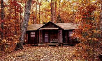 Puzzle 5054 - Cabane en automne