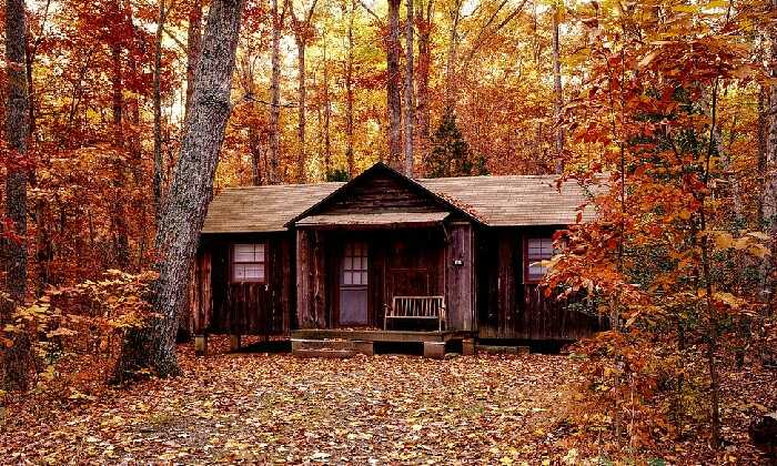 Puzzle Cabane en automne