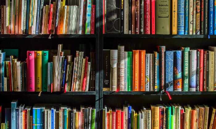 Puzzle Bibliothèque