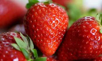 Puzzle 4938 - Fraises