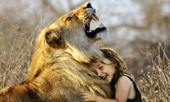 Puzzle 7689 - Lion et enfant