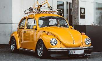Puzzle 5014 - Coccinelle jaune