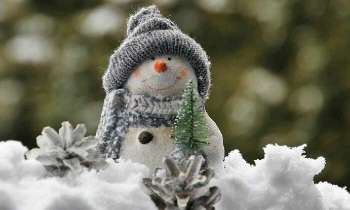 Puzzle 5065 - Bonhomme de neige