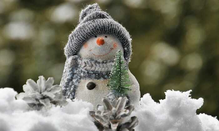 Puzzle Bonhomme de neige