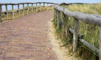 Puzzle 5149 - Chemin en bord de mer