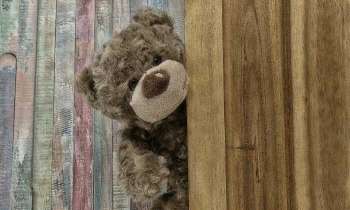 Puzzle 5144 - Peluche ourson