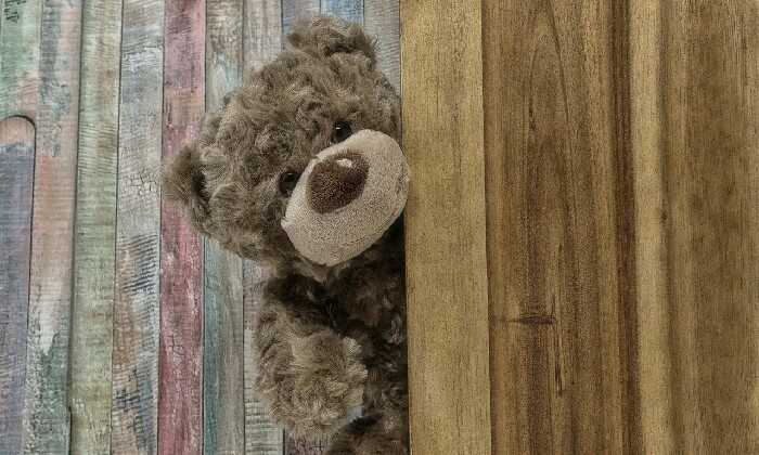 Puzzle Peluche ourson