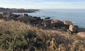 Puzzle 11036 - La côte de Granit rose