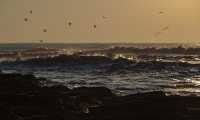 Puzzle Coucher de soleil