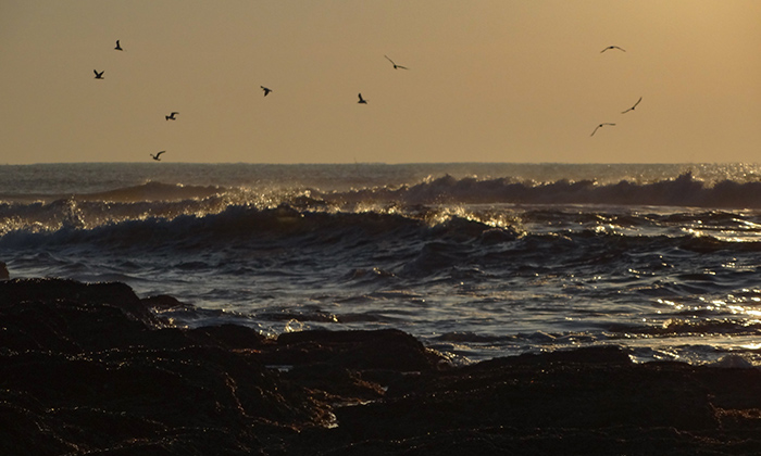 Puzzle Coucher de soleil