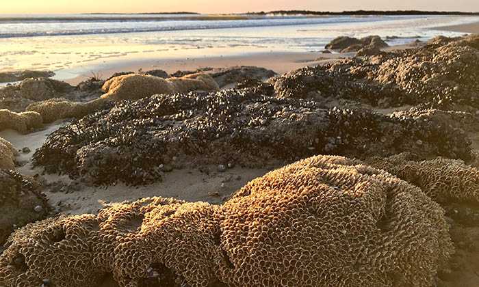 Puzzle Plage de la Normandelière