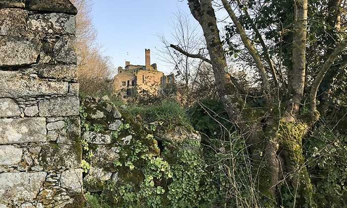 Puzzle Vieux Château à Palluau