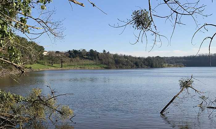 Puzzle Le Lac du Jaunay