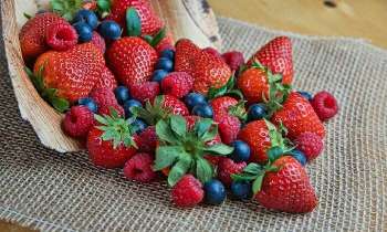 Puzzle 5293 - Fraises et framboises