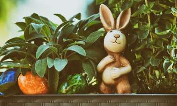 Puzzle 7672 - Cacher les oeufs