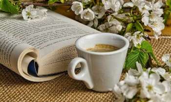 Puzzle 5319 - Un café et un livre