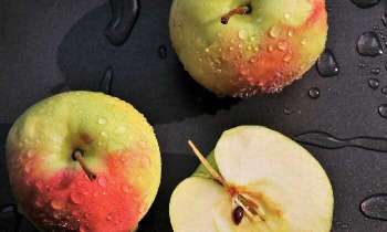 Puzzle 5199 - Des pommes