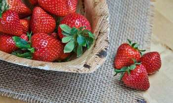 Puzzle 5215 - Fraises